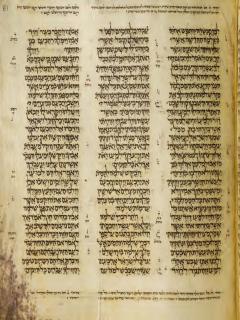 1 Raja-raja 11:29-12:7