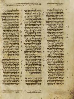 1 Samuel 25:40-26:16