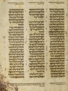 1 Samuel 26:16-27:12