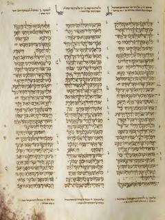 1 Tawarikh 18:9-19:15