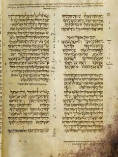 Ayub 41:22 - Amsal 1:8