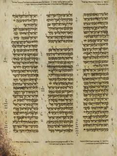 Hakim-hakim 20:20-40