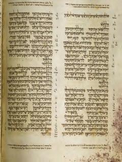 Mazmur 145:20-148:14