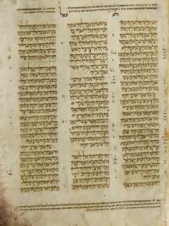 Yehezkiel 29:10-30:12