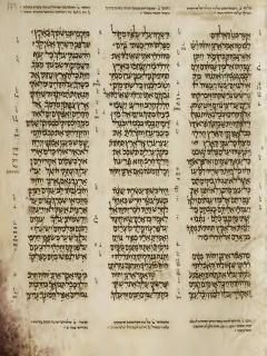 Yehezkiel 31:9-32:11