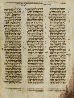 Yehezkiel 44:19-45:8