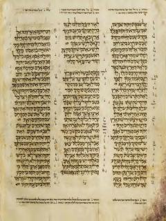 Habakuk 3:1 - Zefanya 1:8