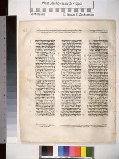 1 Samuel 23:19-24:11