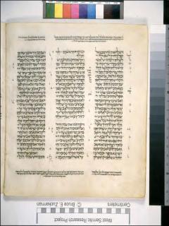 1 Tawarikh 18:9-19:13