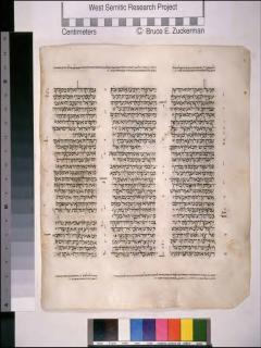 2 Raja-raja 10:20-11:4