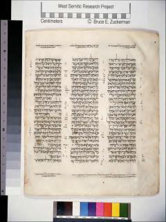 2 Samuel 15:31-16:14