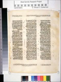 1 Samuel 31:8 - 2 Samuel 1:20