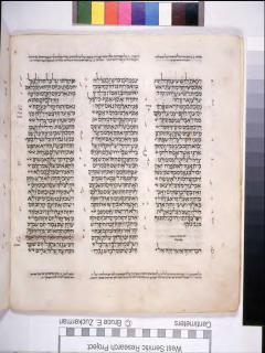 Habakuk 3:13 - Zefanya 1:16