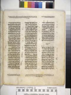 Hosea 14:7 - Yoel 2:3