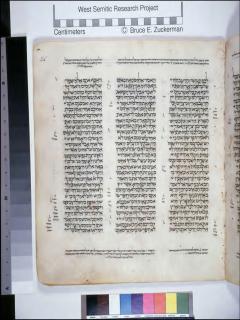 Kejadian 41:56-42:25