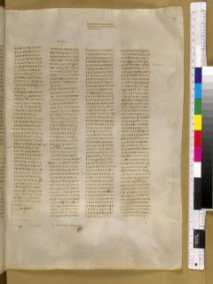 Yunus 4:7 - Nahum 2:6